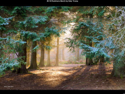 IMG009 (1) (1) (1) (1) (1) (1) (1) (1) (1) (1) (1) (1) (1) (1) (1) (1) (1) (1) (1) (1) (1) (1) (1) (1) (1) (1) (1) (1) (1) (1) (1) (1) (1) (1) (1) (1) (1)