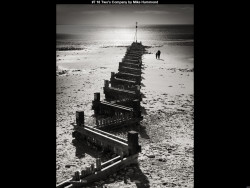 IMG009 (1) (1) (1) (1) (1) (1) (1) (1) (1) (1) (1) (1) (1) (1) (1) (1) (1) (1) (1) (1) (1) (1) (1) (1) (1) (1) (1) (1) (1) (1) (1) (1) (1) (1) (1) (1) (1) (1)