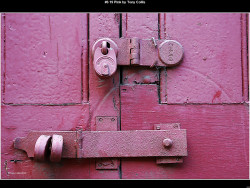 IMG009 (1) (1) (1) (1) (1) (1) (1) (1) (1) (1) (1) (1) (1) (1) (1) (1) (1) (1) (1) (1) (1) (1) (1) (1) (1) (1) (1) (1) (1) (1) (1) (1) (1) (1) (1) (1) (1) (1) (1) (1) (1)