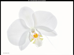 IMG009 (1) (1) (1) (1) (1) (1) (1) (1) (1) (1) (1) (1) (1) (1) (1) (1) (1) (1) (1) (1) (1) (1) (1) (1) (1) (1) (1) (1) (1) (1) (1) (1) (1) (1) (1) (1) (1) (1) (1) (1) (1) (1)