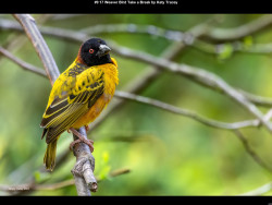 IMG009 (1) (1) (1) (1) (1) (1) (1) (1) (1) (1) (1) (1) (1) (1) (1) (1) (1) (1) (1) (1) (1) (1) (1) (1) (1) (1) (1) (1) (1) (1) (1) (1) (1) (1) (1) (1) (1) (1) (1) (1) (1) (1) (1)