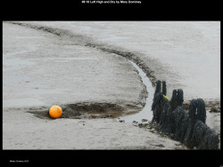 IMG009 (1) (1) (1) (1) (1) (1) (1) (1) (1) (1) (1) (1) (1) (1) (1) (1) (1) (1) (1) (1) (1) (1) (1) (1) (1) (1) (1) (1) (1) (1) (1) (1) (1) (1) (1) (1) (1) (1) (1) (1) (1) (1) (1) (1) (1) (1)