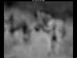 IMG009 (1) (1) (1) (1) (1) (1) (1) (1) (1) (1) (1) (1) (1) (1) (1) (1) (1) (1) (1) (1) (1) (1) (1) (1) (1) (1) (1) (1) (1) (1) (1) (1) (1) (1) (1) (1) (1) (1) (1) (1) (1) (1) (1) (1) (1) (1) (1) (1) (1)