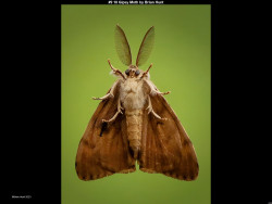 IMG009 (1) (1) (1) (1) (1) (1) (1) (1) (1) (1) (1) (1) (1) (1) (1) (1) (1) (1) (1) (1) (1) (1) (1) (1) (1) (1) (1) (1) (1) (1) (1) (1) (1) (1) (1) (1) (1) (1) (1) (1) (1) (1) (1) (1) (1) (1) (1) (1) (1) (1) (1)