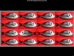 IMG009 (1) (1) (1) (1) (1) (1) (1) (1) (1) (1) (1) (1) (1) (1) (1) (1) (1) (1) (1) (1) (1) (1) (1) (1) (1) (1) (1) (1) (1) (1) (1) (1) (1) (1) (1) (1) (1) (1) (1) (1) (1) (1) (1) (1) (1) (1) (1) (1) (1) (1) (1) (1) (1) (1) (1) (1) (1)