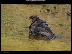 IMG010 (1) (1) (1) (1) (1) (1)