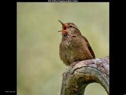 IMG010 (1) (1) (1) (1) (1) (1) (1) (1) (1) (1)