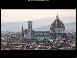 IMG010 (1) (1) (1) (1) (1) (1) (1) (1) (1) (1) (1)