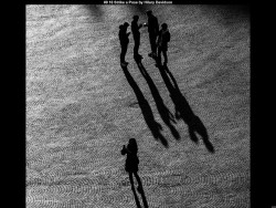 IMG010 (1) (1) (1) (1) (1) (1) (1) (1) (1) (1) (1) (1) (1) (1)