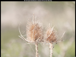 IMG010 (1) (1) (1) (1) (1) (1) (1) (1) (1) (1) (1) (1) (1) (1) (1) (1) (1) (1) (1) (1) (1) (1) (1)