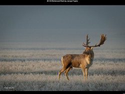 IMG010 (1) (1) (1) (1) (1) (1) (1) (1) (1) (1) (1) (1) (1) (1) (1) (1) (1) (1) (1) (1) (1) (1) (1) (1) (1)