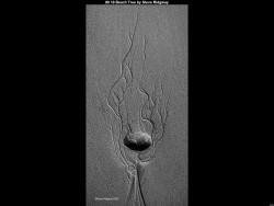 IMG010 (1) (1) (1) (1) (1) (1) (1) (1) (1) (1) (1) (1) (1) (1) (1) (1) (1) (1) (1) (1) (1) (1) (1) (1) (1) (1)