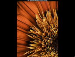 IMG010 (1) (1) (1) (1) (1) (1) (1) (1) (1) (1) (1) (1) (1) (1) (1) (1) (1) (1) (1) (1) (1) (1) (1) (1) (1) (1) (1) (1) (1) (1) (1) (1) (1) (1) (1) (1)