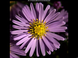 IMG010 (1) (1) (1) (1) (1) (1) (1) (1) (1) (1) (1) (1) (1) (1) (1) (1) (1) (1) (1) (1) (1) (1) (1) (1) (1) (1) (1) (1) (1) (1) (1) (1) (1) (1) (1) (1) (1)