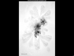 IMG010 (1) (1) (1) (1) (1) (1) (1) (1) (1) (1) (1) (1) (1) (1) (1) (1) (1) (1) (1) (1) (1) (1) (1) (1) (1) (1) (1) (1) (1) (1) (1) (1) (1) (1) (1) (1) (1) (1)