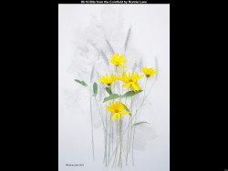 IMG010 (1) (1) (1) (1) (1) (1) (1) (1) (1) (1) (1) (1) (1) (1) (1) (1) (1) (1) (1) (1) (1) (1) (1) (1) (1) (1) (1) (1) (1) (1) (1) (1) (1) (1) (1) (1) (1) (1) (1) (1) (1) (1) (1) (1) (1)