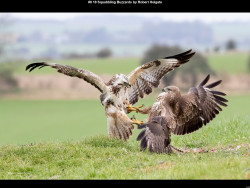 IMG010 (1) (1) (1) (1) (1) (1) (1) (1) (1) (1) (1) (1) (1) (1) (1) (1) (1) (1) (1) (1) (1) (1) (1) (1) (1) (1) (1) (1) (1) (1) (1) (1) (1) (1) (1) (1) (1) (1) (1) (1) (1) (1) (1) (1) (1) (1)