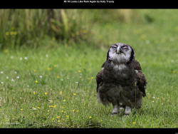 IMG010 (1) (1) (1) (1) (1) (1) (1) (1) (1) (1) (1) (1) (1) (1) (1) (1) (1) (1) (1) (1) (1) (1) (1) (1) (1) (1) (1) (1) (1) (1) (1) (1) (1) (1) (1) (1) (1) (1) (1) (1) (1) (1) (1) (1) (1) (1) (1) (1) (1) (1) (1)