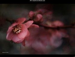 IMG010 (1) (1) (1) (1) (1) (1) (1) (1) (1) (1) (1) (1) (1) (1) (1) (1) (1) (1) (1) (1) (1) (1) (1) (1) (1) (1) (1) (1) (1) (1) (1) (1) (1) (1) (1) (1) (1) (1) (1) (1) (1) (1) (1) (1) (1) (1) (1) (1) (1) (1) (1) (1) (1)