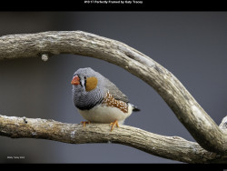 IMG010 (1) (1) (1) (1) (1) (1) (1) (1) (1) (1) (1) (1) (1) (1) (1) (1) (1) (1) (1) (1) (1) (1) (1) (1) (1) (1) (1) (1) (1) (1) (1) (1) (1) (1) (1) (1) (1) (1) (1) (1) (1) (1) (1) (1) (1) (1) (1) (1) (1) (1) (1) (1) (1) (1)