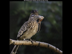 IMG010 (1) (1) (1) (1) (1) (1) (1) (1) (1) (1) (1) (1) (1) (1) (1) (1) (1) (1) (1) (1) (1) (1) (1) (1) (1) (1) (1) (1) (1) (1) (1) (1) (1) (1) (1) (1) (1) (1) (1) (1) (1) (1) (1) (1) (1) (1) (1) (1) (1) (1) (1) (1) (1) (1) (1) (1) (1)