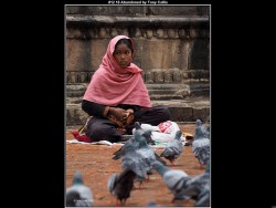 IMG011 (1) (1) (1) (1) (1) (1) (1)