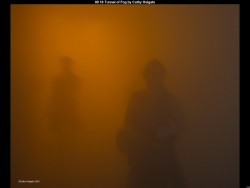 IMG011 (1) (1) (1) (1) (1) (1) (1) (1)