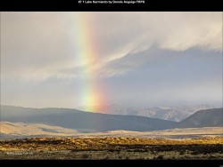 IMG011 (1) (1) (1) (1) (1) (1) (1) (1) (1) (1) (1) (1)