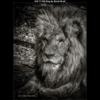 IMG011 (1) (1) (1) (1) (1) (1) (1) (1) (1) (1) (1) (1) (1) (1) (1) (1) (1) (1)