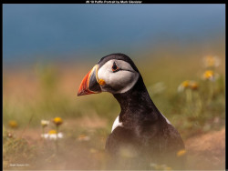 IMG011 (1) (1) (1) (1) (1) (1) (1) (1) (1) (1) (1) (1) (1) (1) (1) (1) (1) (1) (1) (1) (1) (1) (1)