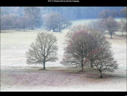 IMG011 (1) (1) (1) (1) (1) (1) (1) (1) (1) (1) (1) (1) (1) (1) (1) (1) (1) (1) (1) (1) (1) (1) (1) (1) (1) (1) (1) (1) (1) (1) (1) (1) (1) (1)