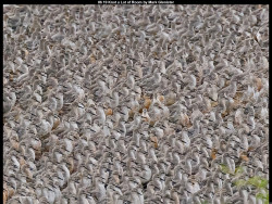 IMG011 (1) (1) (1) (1) (1) (1) (1) (1) (1) (1) (1) (1) (1) (1) (1) (1) (1) (1) (1) (1) (1) (1) (1) (1) (1) (1) (1) (1) (1) (1) (1) (1) (1) (1) (1) (1) (1) (1) (1) (1) (1)