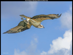 IMG011 (1) (1) (1) (1) (1) (1) (1) (1) (1) (1) (1) (1) (1) (1) (1) (1) (1) (1) (1) (1) (1) (1) (1) (1) (1) (1) (1) (1) (1) (1) (1) (1) (1) (1) (1) (1) (1) (1) (1) (1) (1) (1)