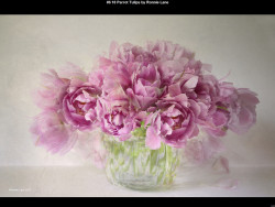 IMG011 (1) (1) (1) (1) (1) (1) (1) (1) (1) (1) (1) (1) (1) (1) (1) (1) (1) (1) (1) (1) (1) (1) (1) (1) (1) (1) (1) (1) (1) (1) (1) (1) (1) (1) (1) (1) (1) (1) (1) (1) (1) (1) (1) (1) (1)