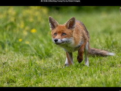 IMG011 (1) (1) (1) (1) (1) (1) (1) (1) (1) (1) (1) (1) (1) (1) (1) (1) (1) (1) (1) (1) (1) (1) (1) (1) (1) (1) (1) (1) (1) (1) (1) (1) (1) (1) (1) (1) (1) (1) (1) (1) (1) (1) (1) (1) (1) (1)