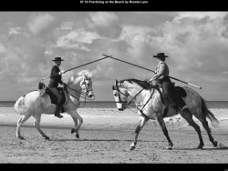 IMG011 (1) (1) (1) (1) (1) (1) (1) (1) (1) (1) (1) (1) (1) (1) (1) (1) (1) (1) (1) (1) (1) (1) (1) (1) (1) (1) (1) (1) (1) (1) (1) (1) (1) (1) (1) (1) (1) (1) (1) (1) (1) (1) (1) (1) (1) (1) (1) (1)