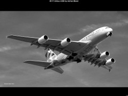 IMG011 (1) (1) (1) (1) (1) (1) (1) (1) (1) (1) (1) (1) (1) (1) (1) (1) (1) (1) (1) (1) (1) (1) (1) (1) (1) (1) (1) (1) (1) (1) (1) (1) (1) (1) (1) (1) (1) (1) (1) (1) (1) (1) (1) (1) (1) (1) (1) (1) (1)