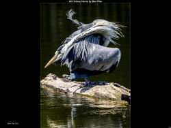 IMG011 (1) (1) (1) (1) (1) (1) (1) (1) (1) (1) (1) (1) (1) (1) (1) (1) (1) (1) (1) (1) (1) (1) (1) (1) (1) (1) (1) (1) (1) (1) (1) (1) (1) (1) (1) (1) (1) (1) (1) (1) (1) (1) (1) (1) (1) (1) (1) (1) (1) (1) (1)