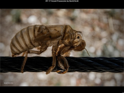 IMG011 (1) (1) (1) (1) (1) (1) (1) (1) (1) (1) (1) (1) (1) (1) (1) (1) (1) (1) (1) (1) (1) (1) (1) (1) (1) (1) (1) (1) (1) (1) (1) (1) (1) (1) (1) (1) (1) (1) (1) (1) (1) (1) (1) (1) (1) (1) (1) (1) (1) (1) (1) (1)