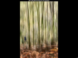 IMG011 (1) (1) (1) (1) (1) (1) (1) (1) (1) (1) (1) (1) (1) (1) (1) (1) (1) (1) (1) (1) (1) (1) (1) (1) (1) (1) (1) (1) (1) (1) (1) (1) (1) (1) (1) (1) (1) (1) (1) (1) (1) (1) (1) (1) (1) (1) (1) (1) (1) (1) (1) (1) (1)