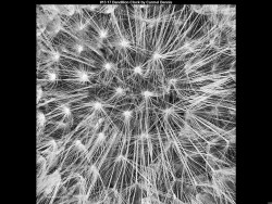 IMG012 (1) (1) (1) (1) (1) (1) (1) (1)