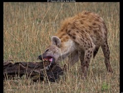 IMG012 (1) (1) (1) (1) (1) (1) (1) (1) (1) (1) (1) (1)