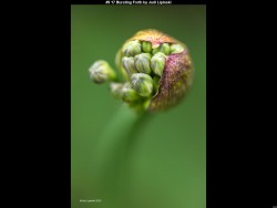 IMG012 (1) (1) (1) (1) (1) (1) (1) (1) (1) (1) (1) (1) (1)