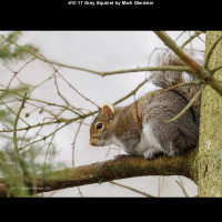 IMG012 (1) (1) (1) (1) (1) (1) (1) (1) (1) (1) (1) (1) (1) (1) (1) (1) (1) (1)