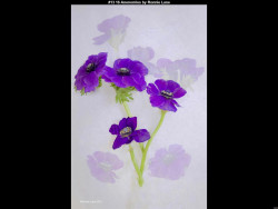 IMG012 (1) (1) (1) (1) (1) (1) (1) (1) (1) (1) (1) (1) (1) (1) (1) (1) (1) (1) (1) (1)