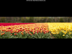 IMG012 (1) (1) (1) (1) (1) (1) (1) (1) (1) (1) (1) (1) (1) (1) (1) (1) (1) (1) (1) (1) (1) (1) (1) (1) (1) (1) (1) (1) (1)