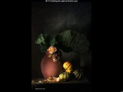 IMG012 (1) (1) (1) (1) (1) (1) (1) (1) (1) (1) (1) (1) (1) (1) (1) (1) (1) (1) (1) (1) (1) (1) (1) (1) (1) (1) (1) (1) (1) (1) (1)