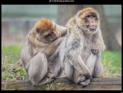 IMG012 (1) (1) (1) (1) (1) (1) (1) (1) (1) (1) (1) (1) (1) (1) (1) (1) (1) (1) (1) (1) (1) (1) (1) (1) (1) (1) (1) (1) (1) (1) (1) (1)