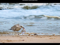 IMG012 (1) (1) (1) (1) (1) (1) (1) (1) (1) (1) (1) (1) (1) (1) (1) (1) (1) (1) (1) (1) (1) (1) (1) (1) (1) (1) (1) (1) (1) (1) (1) (1) (1) (1) (1) (1) (1) (1) (1) (1) (1) (1)