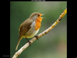 IMG012 (1) (1) (1) (1) (1) (1) (1) (1) (1) (1) (1) (1) (1) (1) (1) (1) (1) (1) (1) (1) (1) (1) (1) (1) (1) (1) (1) (1) (1) (1) (1) (1) (1) (1) (1) (1) (1) (1) (1) (1) (1) (1) (1)